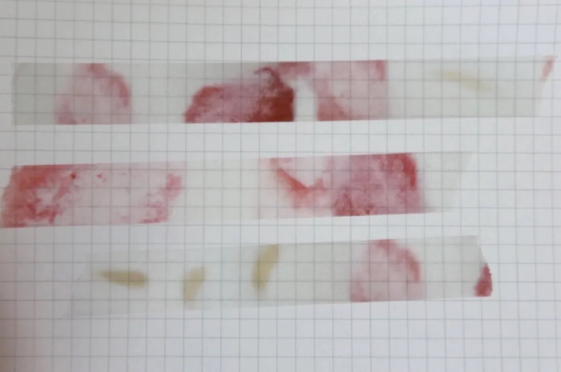 풀풀 마스킹 테이프 4종 - 4