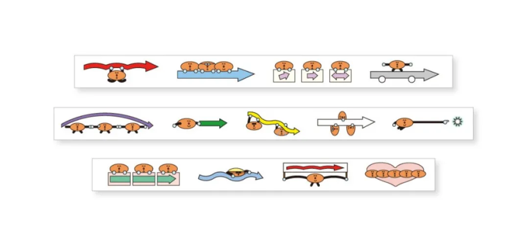 [핸드인글러브] arrow 마테 01
