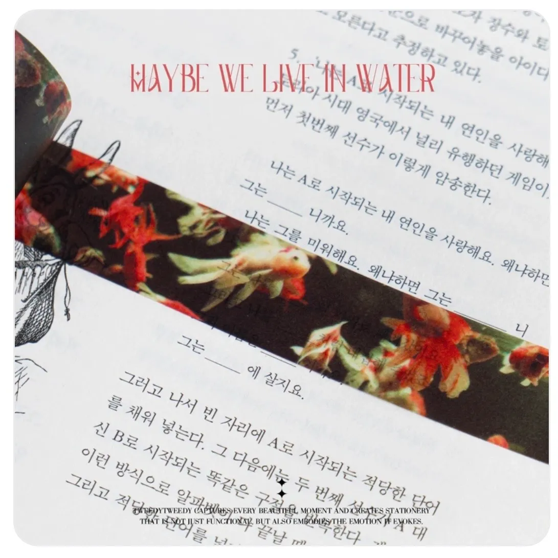 [트위디트위디] 마테 2종 띵해요 - 2