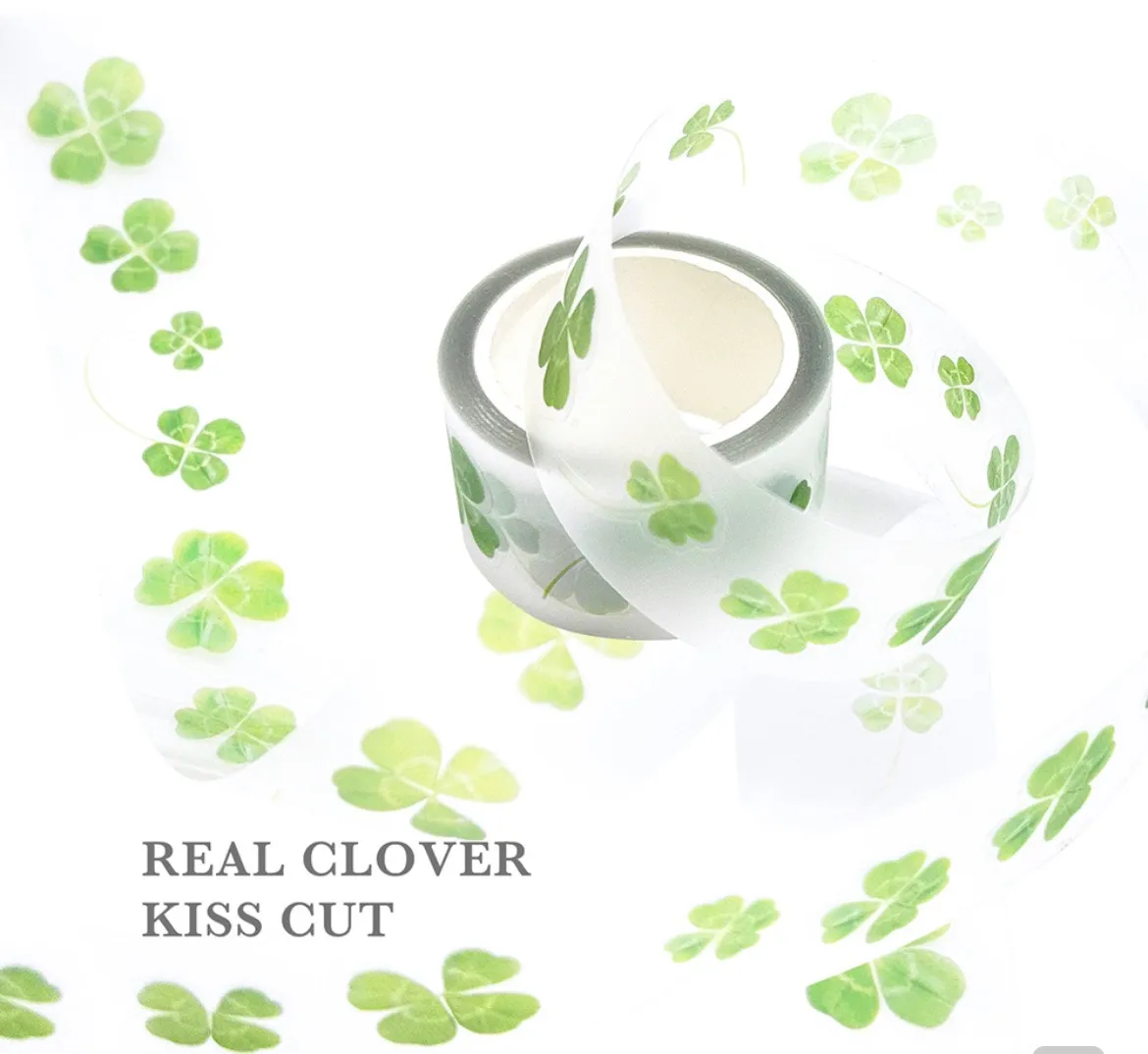 러브미모어 모이또이 클로버 키스컷 띵해요